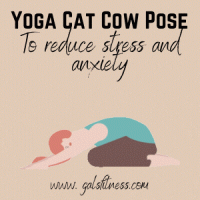 yoga cat cow pose